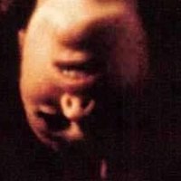 Jacqueline Bisset Nude